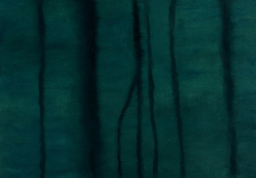 Nachtschatten nr.I, 60 x 85 cm,_Oel auf HDF, 2011
